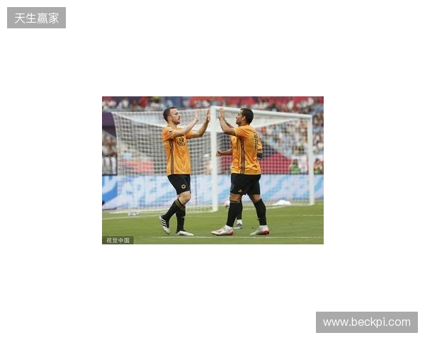 狼队主帅谈若塔致敬仪式：令人动容的时刻，利物浦极具风范